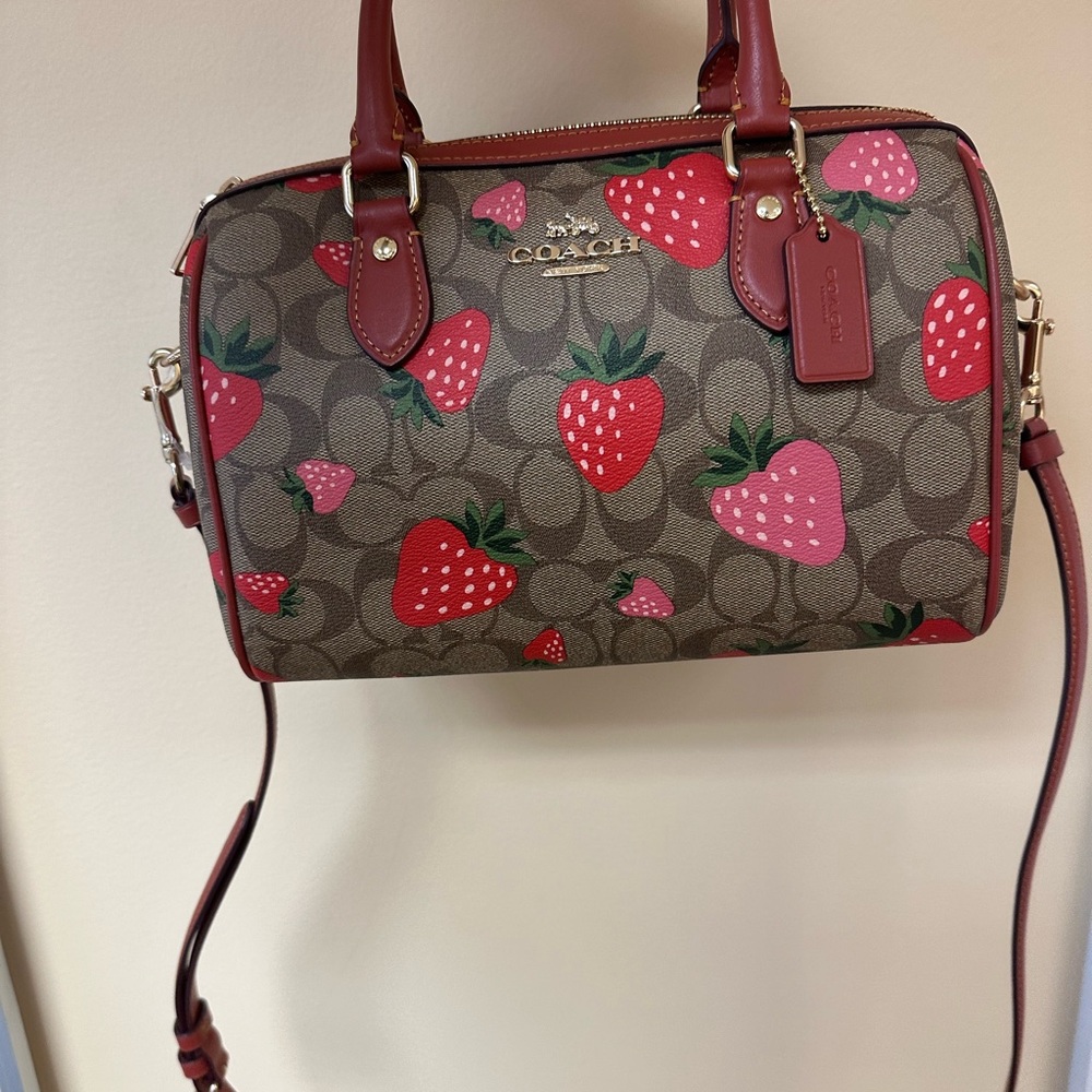 Coach Brown and Red Strawberry Print Women's Bag (SIG STRWBRY RWN)